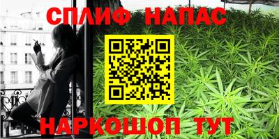 шишки Котовск