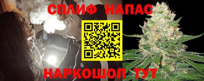 шишки Котовск