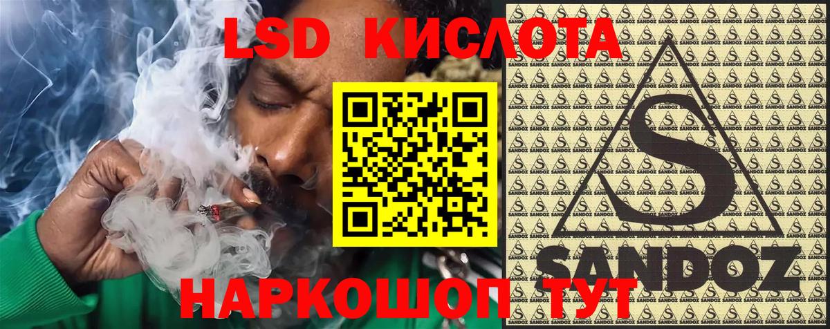 Губкин  Марки N-bome 1,5мг  Вход с VPN 