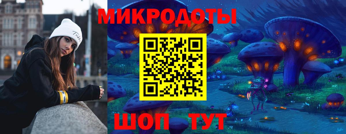 Губкин  Псилоцибиновые грибы мицелий  Вход с VPN 